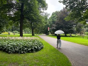 В Латвии могут ввести квоты на въезд граждан третьих стран: ищут баланс между безопасностью и потребностями экономики