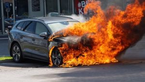 В районе Иманты искали медведицу с медвежатами после сообщений местных жителей