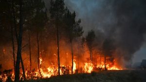 Ученые сравнили будущее Земли с древними эпохами и пришли к тревожным выводам