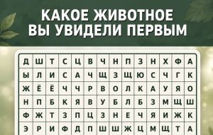 Твёрдое масло - намазать сразу из холодильника: трюк с ситечком, который взорвал TikTok