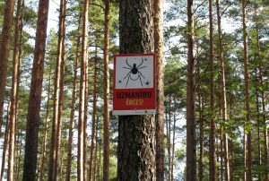 Эстонское терпение на исходе, и они готовы сами проложить рельсы через территорию Латвии