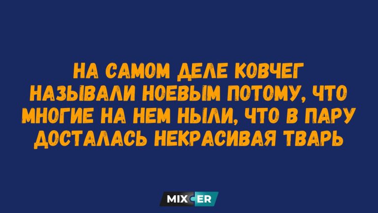 Смешные картинки на утро 16 августа и ковчег