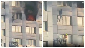 Побег года: 36-килограммовая черепаха сбежала из дома в Канаде и преодолела за две недели 20 км