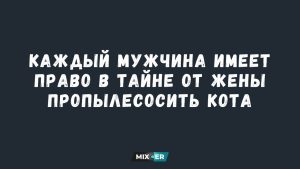 Гороскоп на выходные 22-23 августа: кому случайность улучшит планы, а кто вернёт себе выходной