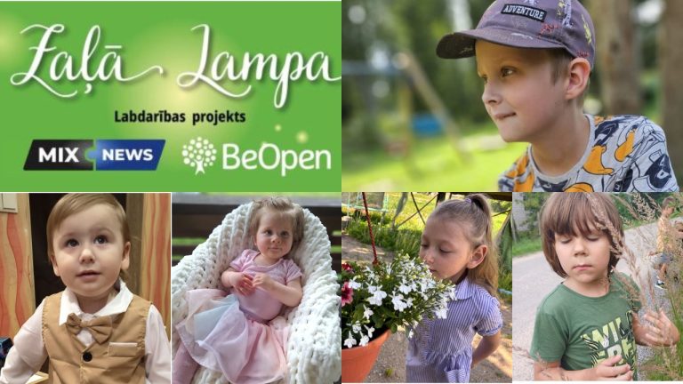«Зеленая лампа» подвела итоги первого полугодия 2026 года