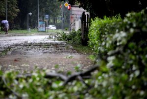 Не выходите из дома, укройте машину: советы как пережить разрушительный шторм в эти выходные