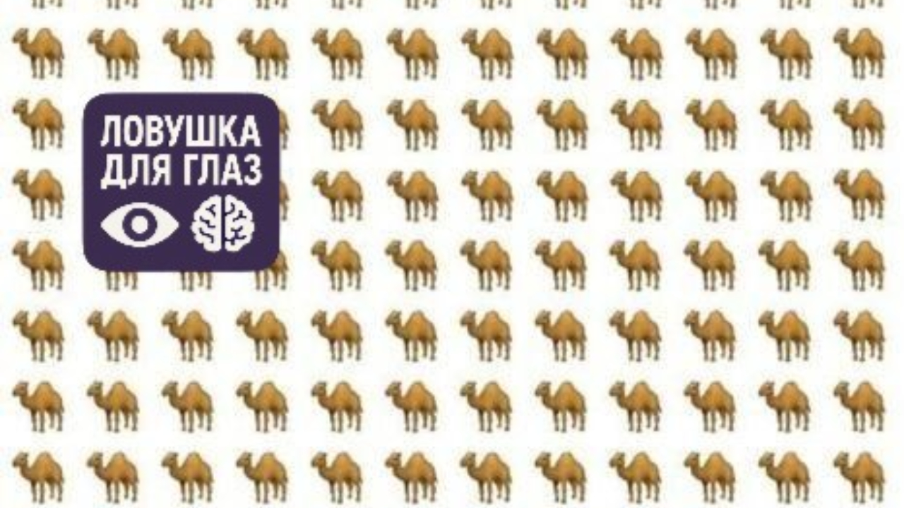 На пароме Рига-Стокгольм родился ребенок