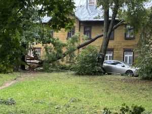 После обнаружения туннеля на границе Латвия начала сканировать почву