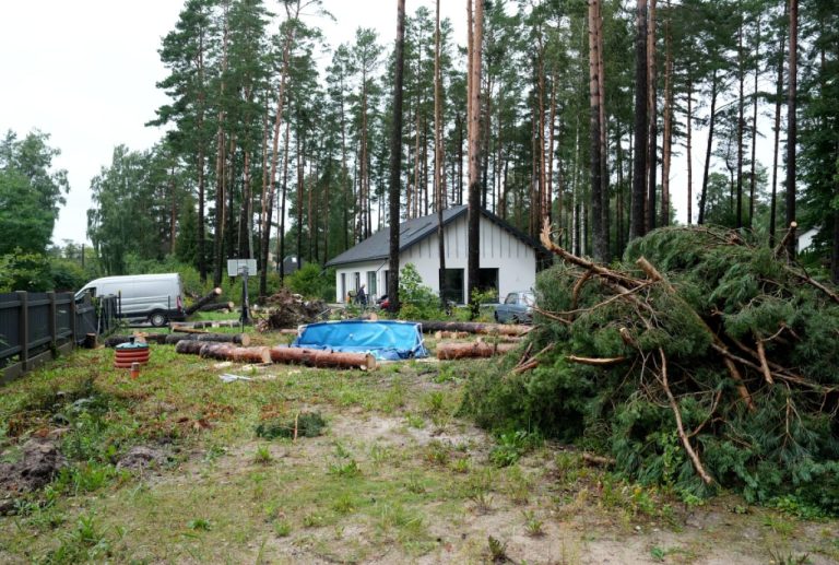 Поваленные деревья, поврежденные крыши и затопленные подвалы: сумма заявленных в Ergo убытков достигла 200 000 евро