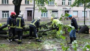 Поваленные деревья, поврежденные крыши и затопленные подвалы: сумма заявленных в Ergo убытков достигла 200 000 евро