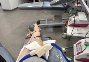 Жительница Резекне выкопала рассаду с городской клумбы и вызвала бурные споры