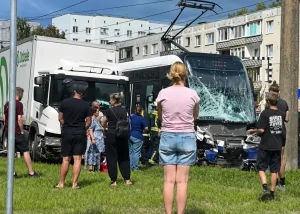 Кто пересчитает медведей в Латвии? На мониторинг выделили 180 тысяч евро