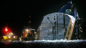 Как мог звучать лес юрского периода: ученые восстановили «песни» насекомых возрастом 165 млн лет (АУДИО)