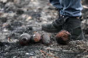 Эстония признана лучшим местом для релокации в мире в 2026 году, где оказалась Латвия?