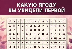 Кабачковые «пирожные» с лисичками и ветчиной: летний ужин, который выглядит как ресторанное блюдо