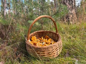 С нового учебного года в Латвии изменят школьные экзамены и систему оценивания
