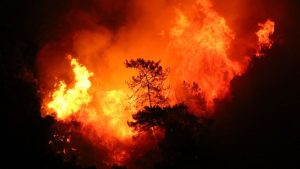 Сахара в Европе станет заметно меньше: урожай может упасть до минимума за 10 лет