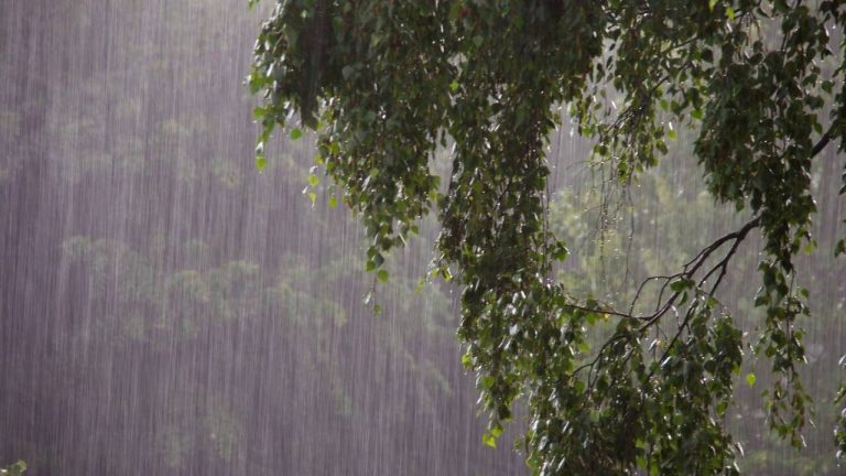 Дожди, грозы и до +21°C: какой будет погода в Латвии в среду