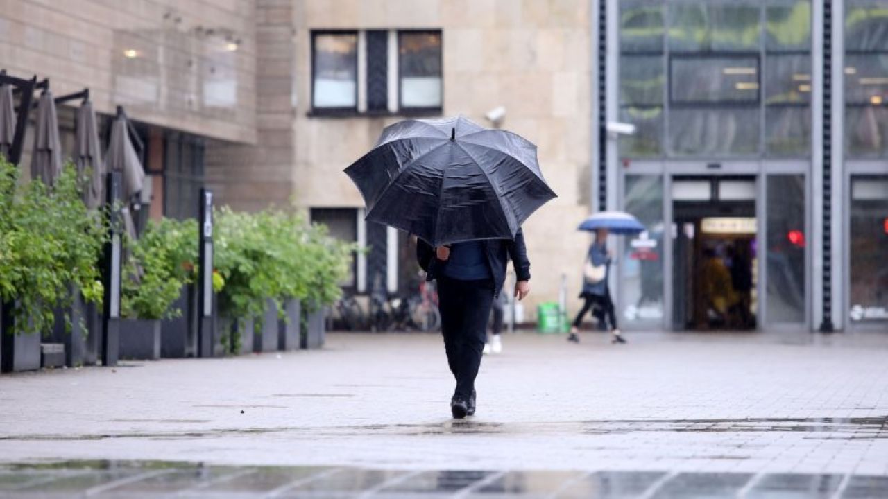 Понедельник принесет дожди и туман, воздух прогреется до +19 °C