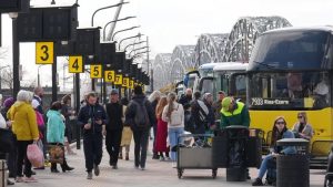 В среду в Латвии могут отменить 1271 региональный автобусный рейс: перевозчики объявили акцию протеста