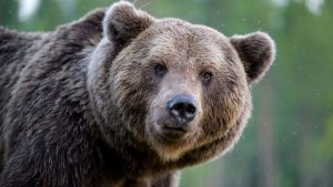 Сейм готовит новый налог в 10% для небольших дополнительных доходов