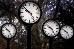 В Резекне появится один из самых современных кинологических центров Европы: проект стоит более 7 млн евро