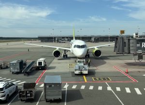 31 000 евро за убитого медведя: дело охотника из Огрского края передали в прокуратуру