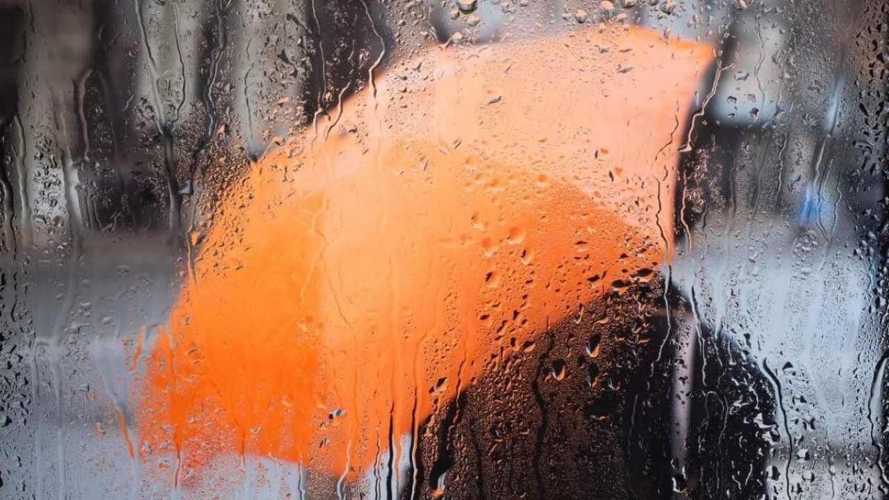 Готовим зонты: нас ждут дождливые выходные