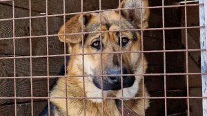 Осень все ближе: в среду Латвию ждут дожди, грозы и не больше +21 градуса