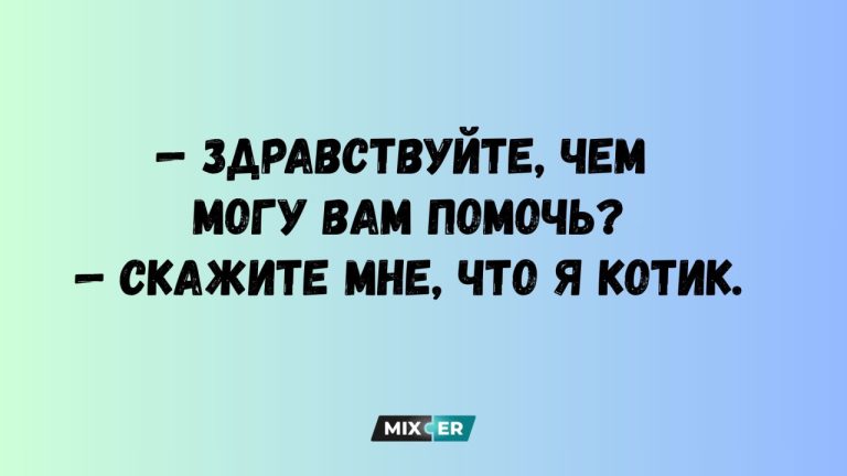 Юмор за неделю и котик