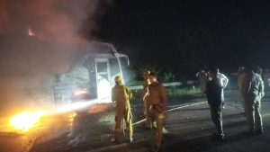 Личные вещи Брижит Бардо продали почти за миллион евро: два собачьих ошейника ушли за 9400 евро