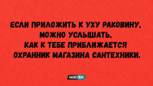 Гортензия отцвела: что срезать, а что оставить до весны