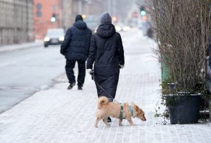 Жителей Латвии призывают проверить три важных показателя здоровья»