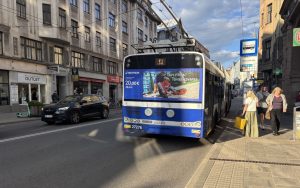 В Японии около 100 000 декоративных карпов смыло наводнением