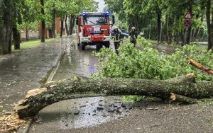 Осенняя буря в Риге: в пятницу жителей просят не посещать парки и детские площадки