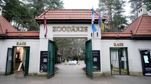 В Латвии начался сезон гриппа, но поставки части вакцин задерживаются