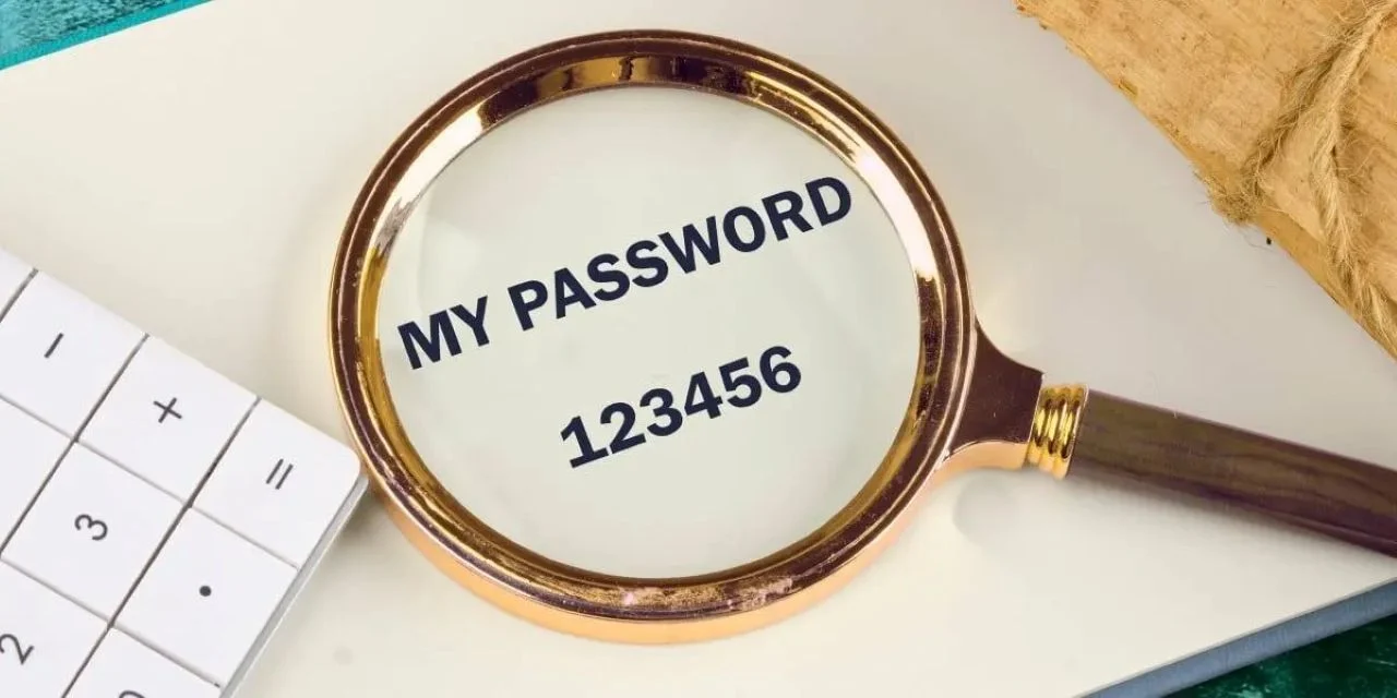 В Дании хакер взломал национальный реестр с помощью пароля «123456»