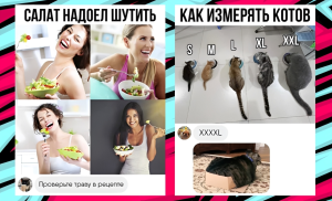 «Окей, Google, запомни, куда я положил паспорт»: новая функция Android против вечных поисков