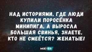 Муку и яйца даже не достаю: готовлю из тыквы сливочный десерт с карамельной шапочкой