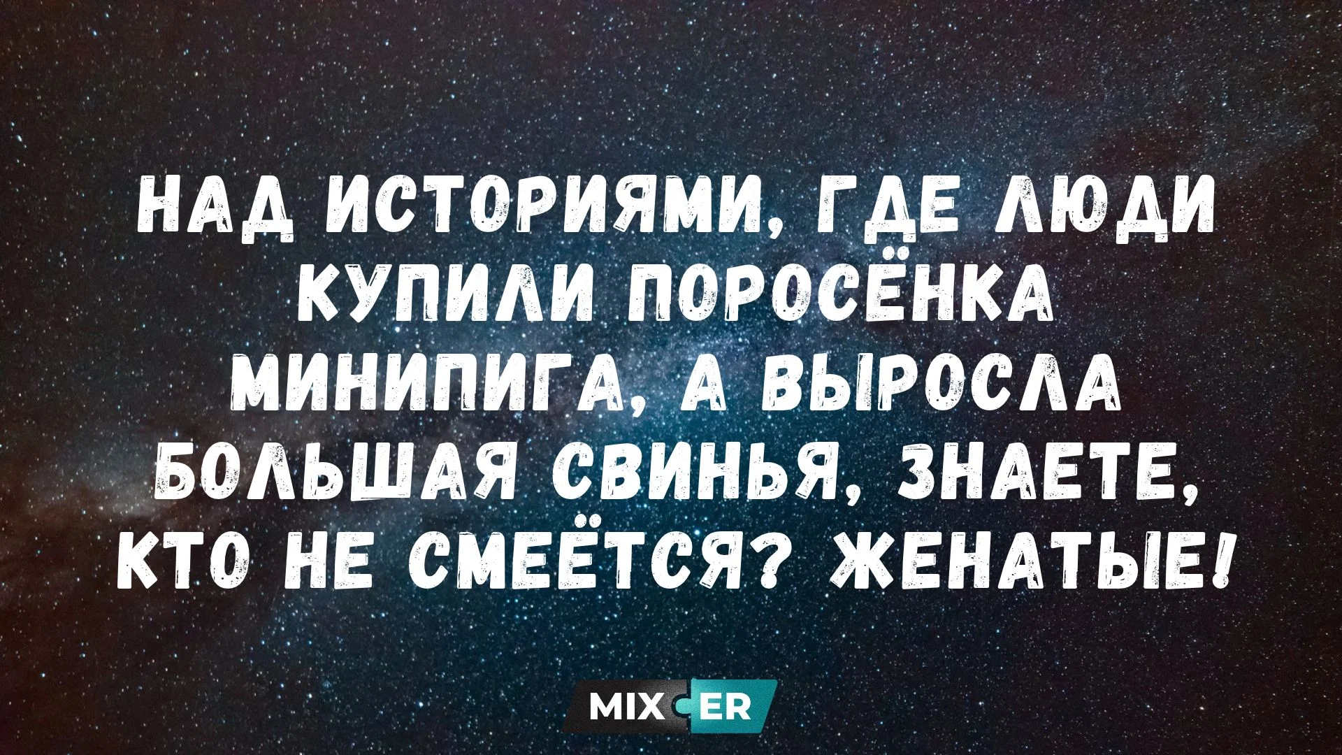 В Японии дельфины напали на отдыхающих. Это уже шестой случай