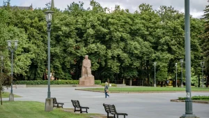 В окрестностях Руцавы вырубили лес возрастом почти 400 лет: открыт уголовный процесс
