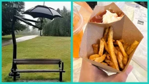 Овны, Раки, Весы и Водолеи в гороскопе Джорджии Николс на субботу 24 октября