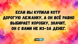 Пирожки с подвохом: сможете найти 3 отличия, пока дедушка раскатывает тесто?