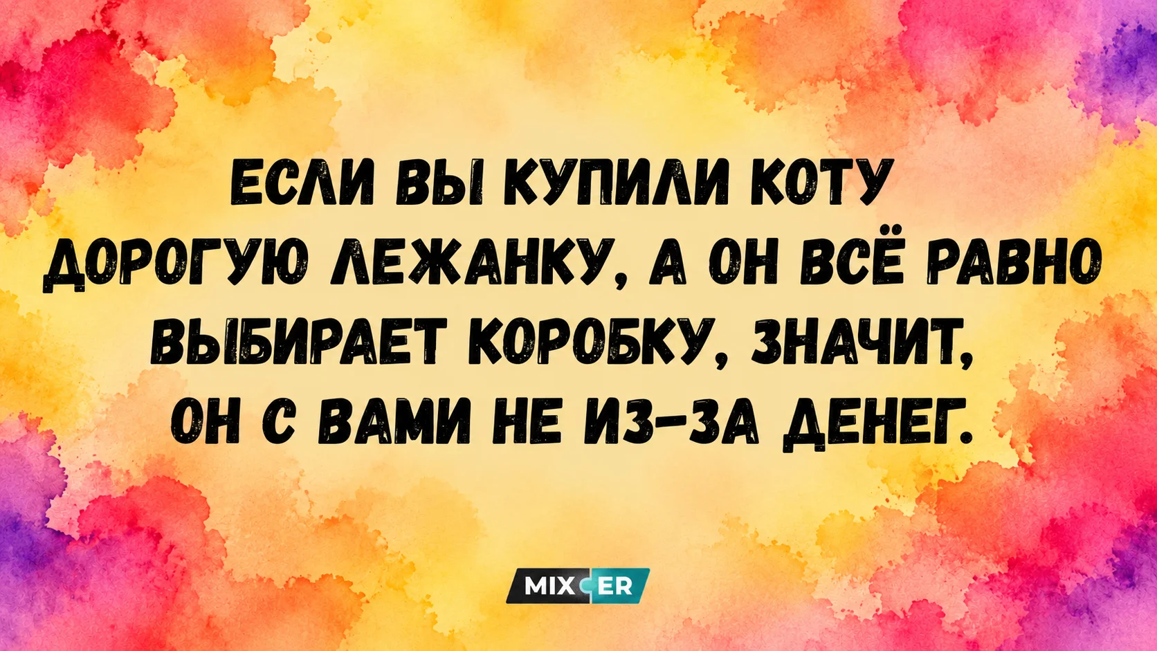 Смешные картинки на день и дорогая лежанка