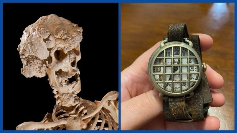 17 фотографий, после которых привычный мир уже не кажется таким обычным