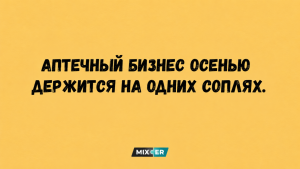 Природа решила пошутить: 20 животных, которые случайно стали звездами Comedy Wildlife Awards 2026