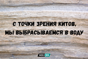 Забавные комментарии, которые как острый соус приправляют сам пост