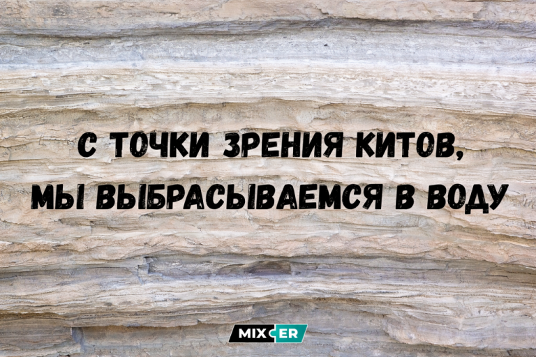 Юмор на вечер и точка зрения китов