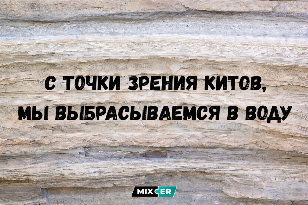 Юмор на вечер и точка зрения китов