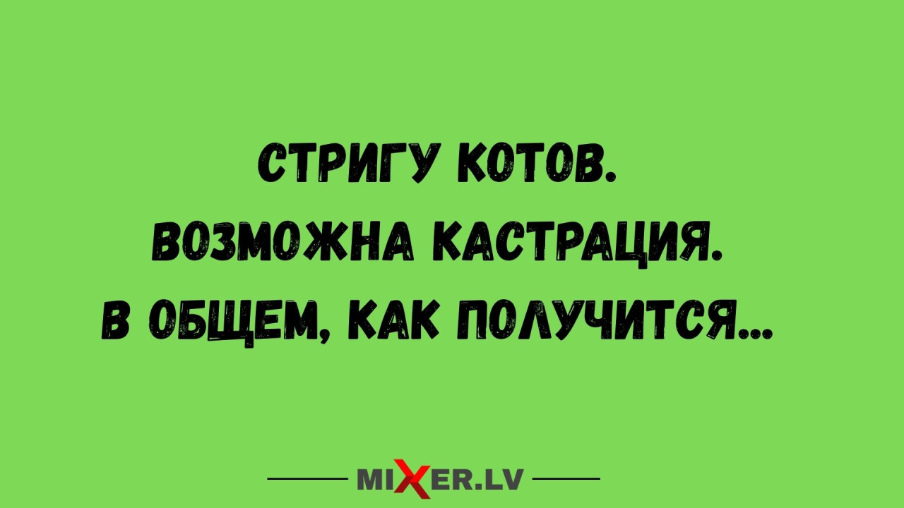 Юмор за день и стрижка котов